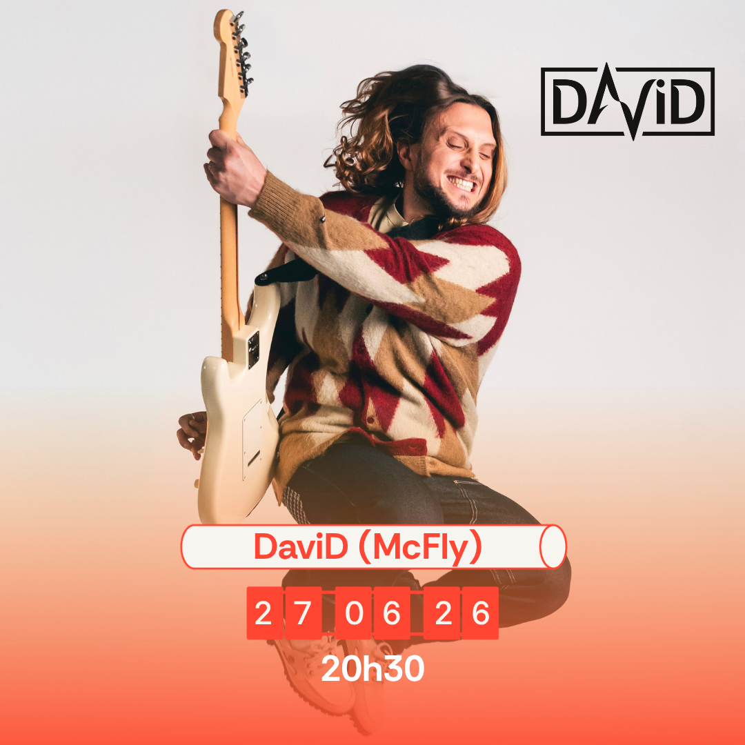 david mcfly concert seignosse